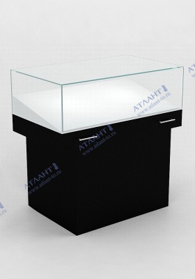 Музейная витрина П-С-2